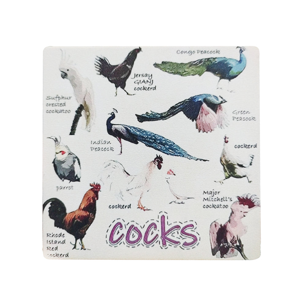 Set of 6 Square Funny Bird Pun Coasters