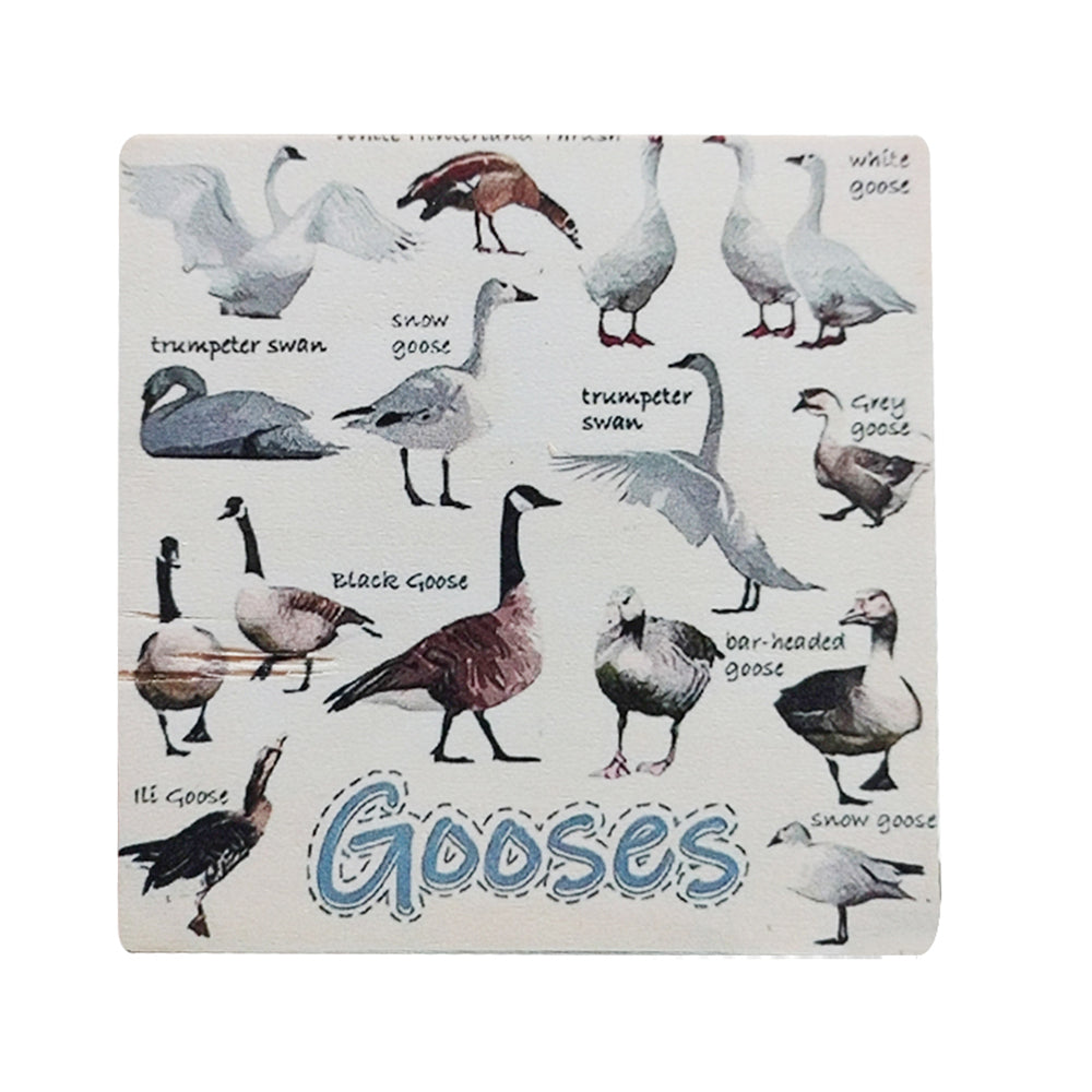 Set of 6 Square Funny Bird Pun Coasters