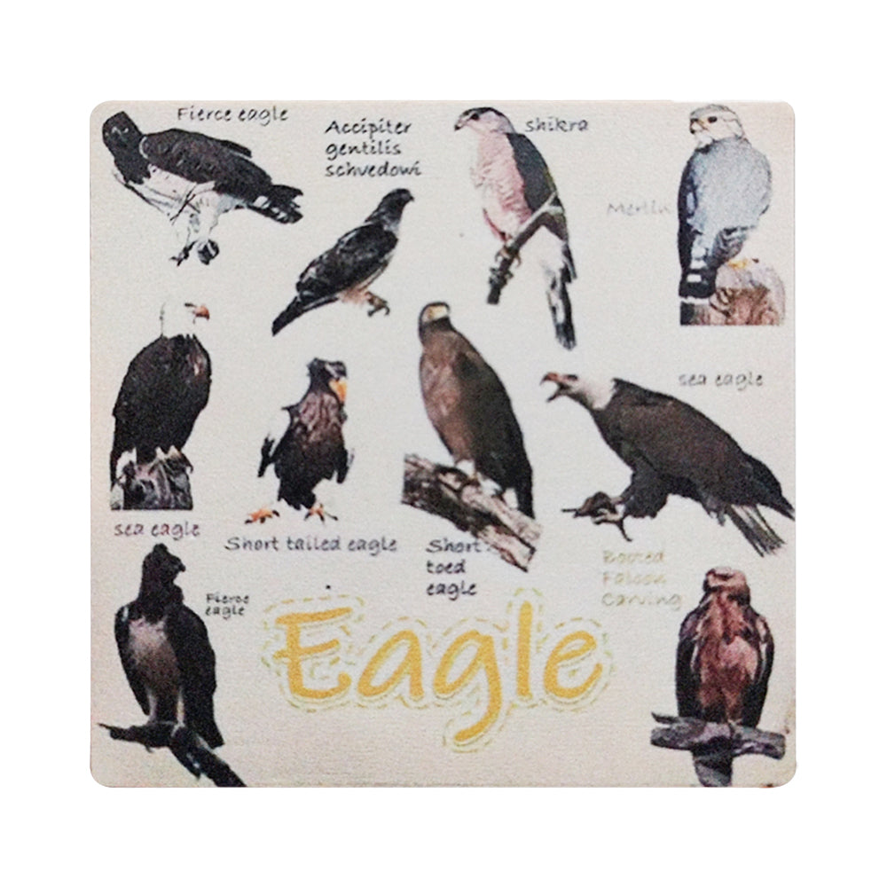 Set of 6 Square Funny Bird Pun Coasters