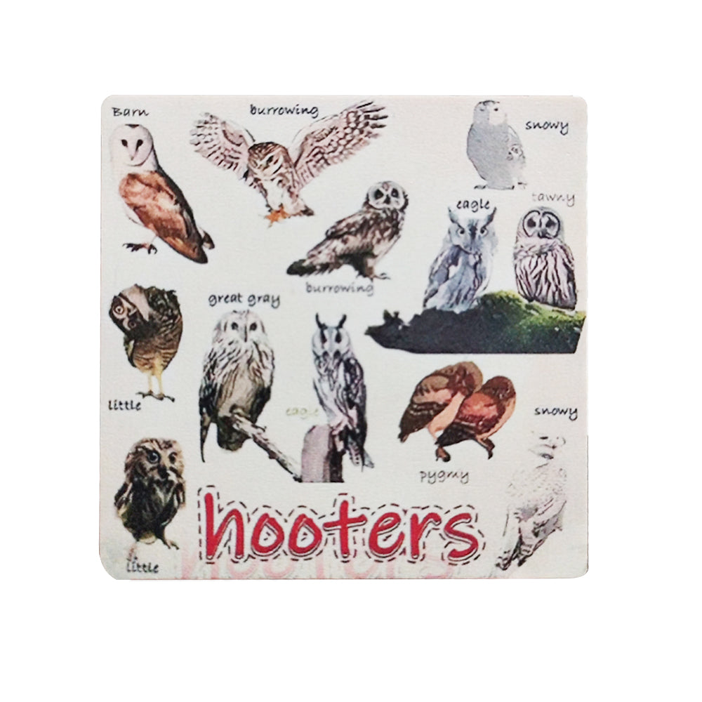 Set of 6 Square Funny Bird Pun Coasters