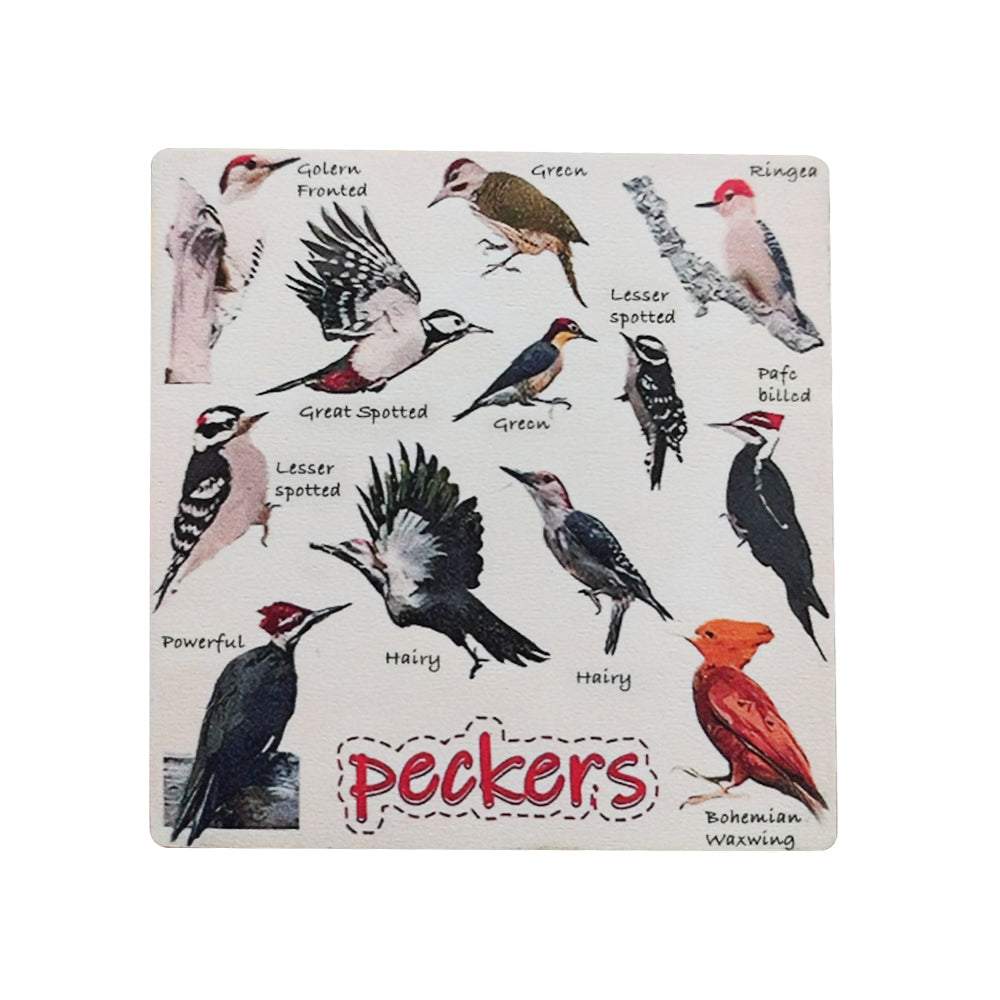 Set of 6 Square Funny Bird Pun Coasters