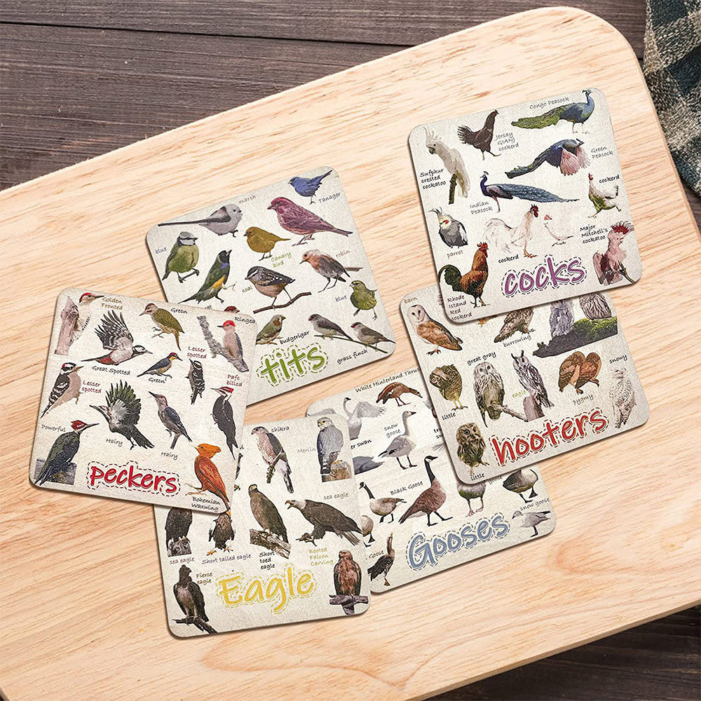 Set of 6 Square Funny Bird Pun Coasters