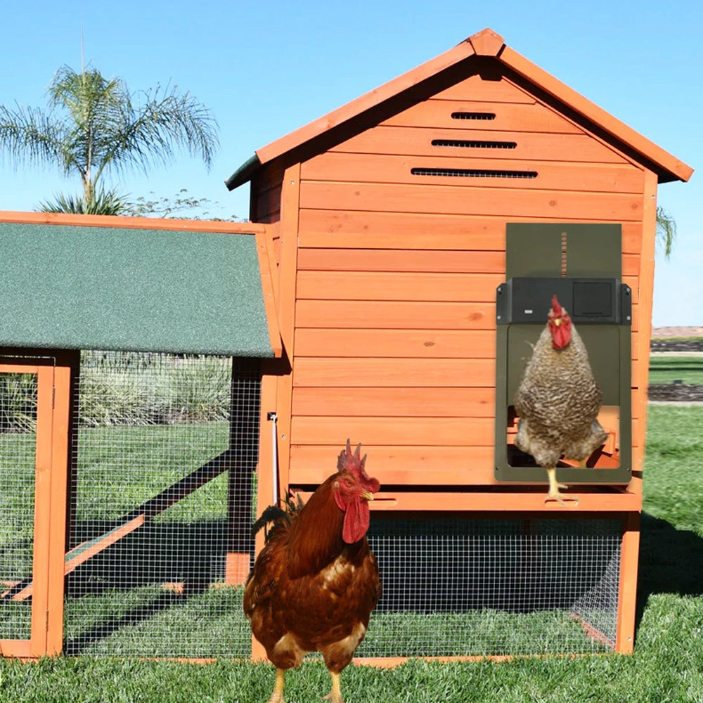 Automatic Chicken Coop Door Opener Light Sensing Poultry Gate Doorr