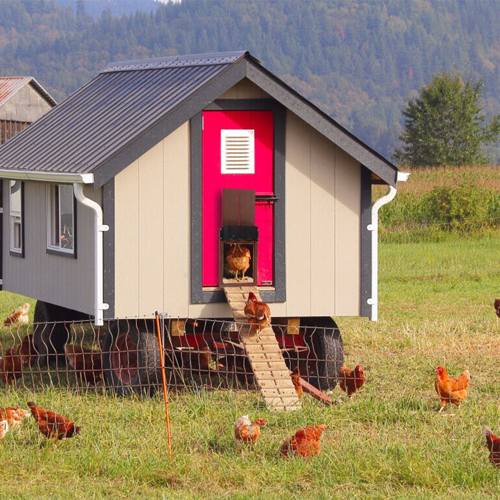Automatic Chicken Coop Door Opener Light Sensing Poultry Gate Doorr