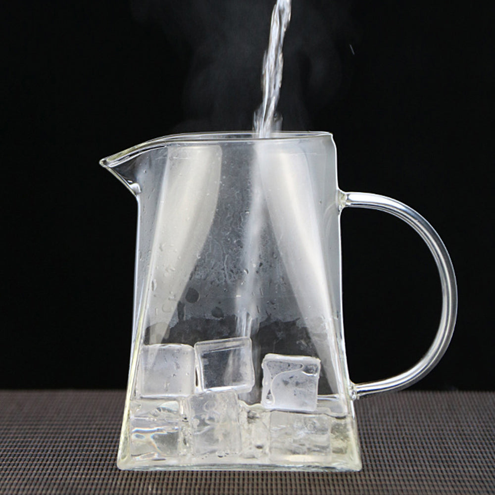 Heat Resistant Glass Teapot with Stainless Steel Liner Infuser Teapot