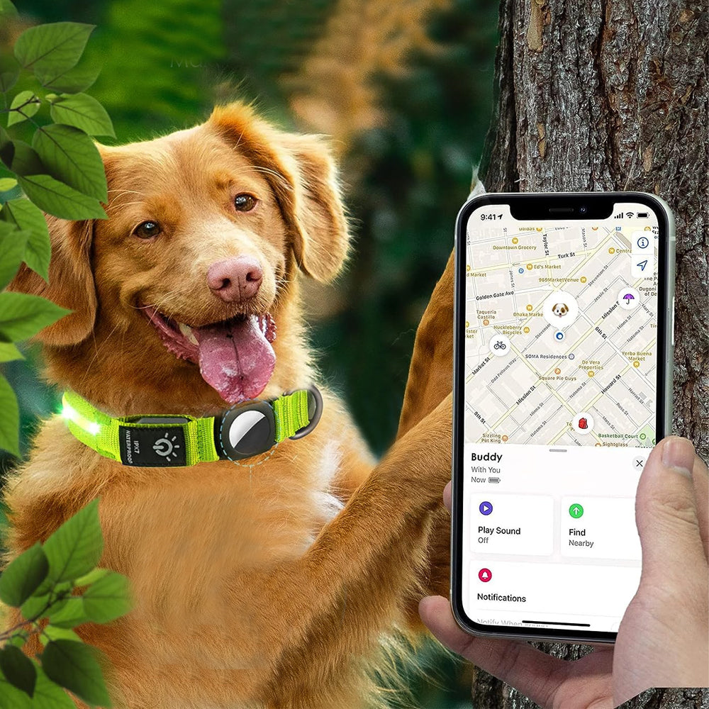 LED Rechargeable Dog Collar Pet Collar with Protective Case for Apple Air Tag