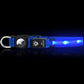 LED Rechargeable Dog Collar Pet Collar with Protective Case for Apple Air Tag