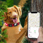 LED Rechargeable Dog Collar Pet Collar with Protective Case for Apple Air Tag