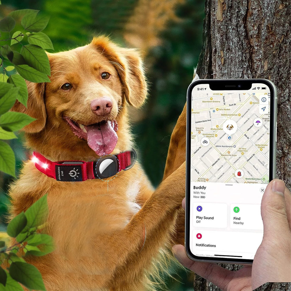 LED Rechargeable Dog Collar Pet Collar with Protective Case for Apple Air Tag