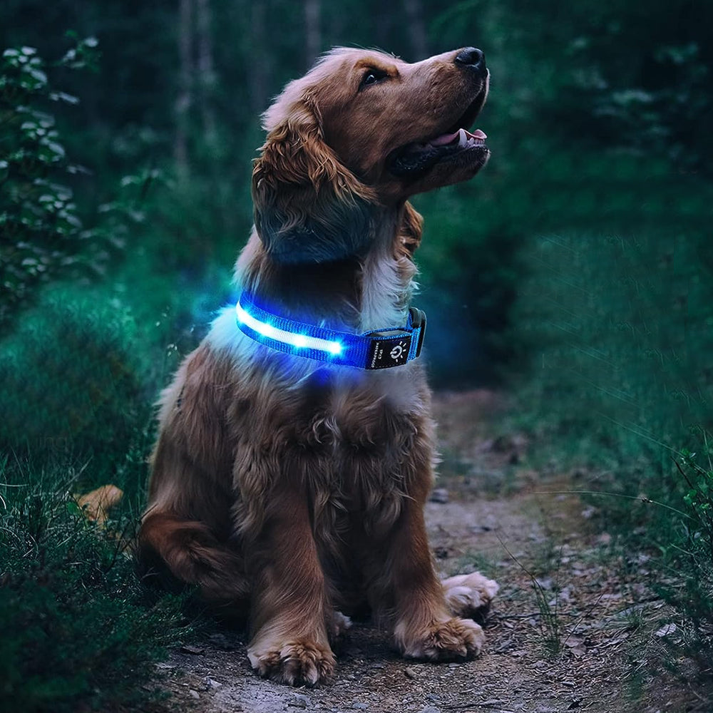 LED Rechargeable Dog Collar Pet Collar with Protective Case for Apple Air Tag