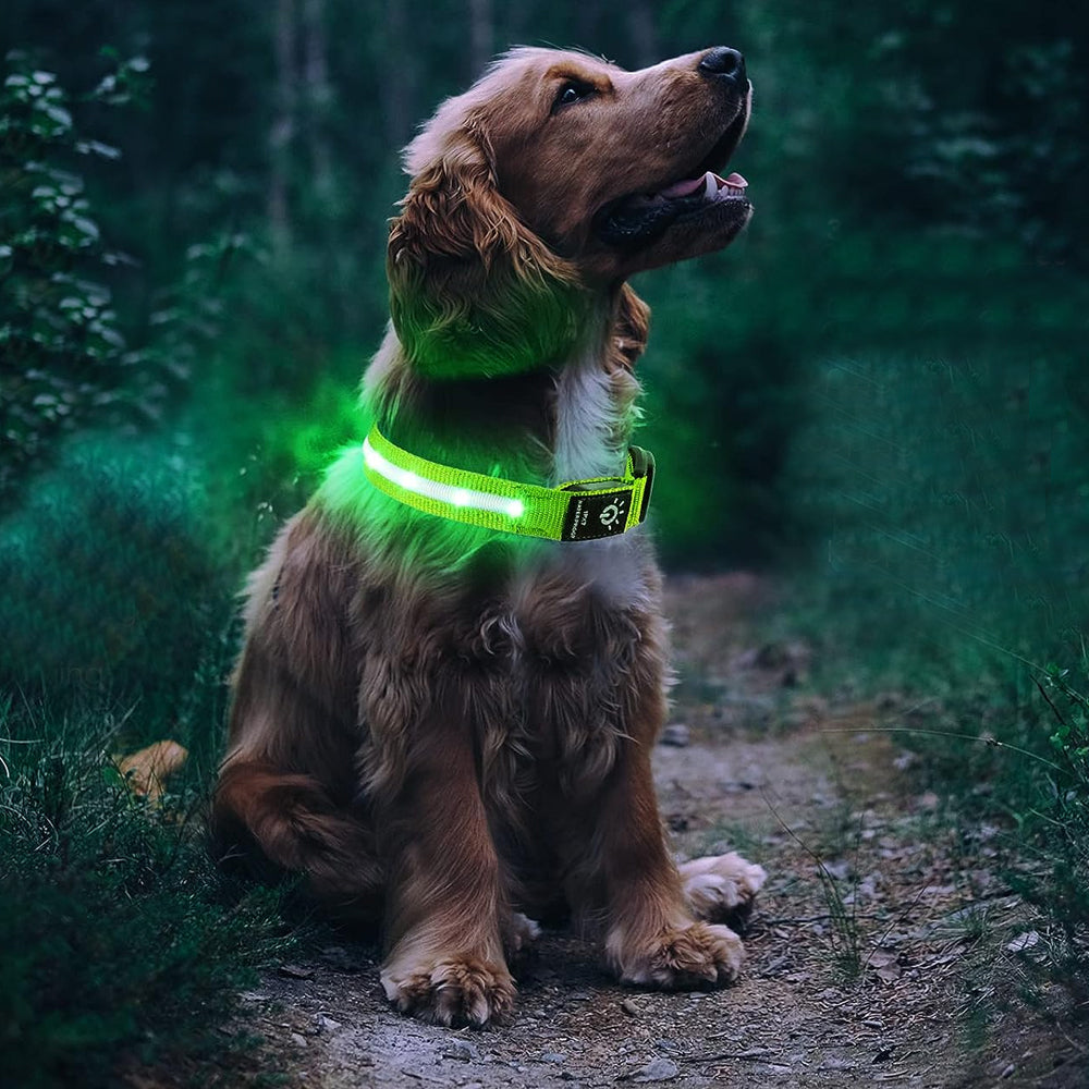 LED Rechargeable Dog Collar Pet Collar with Protective Case for Apple Air Tag