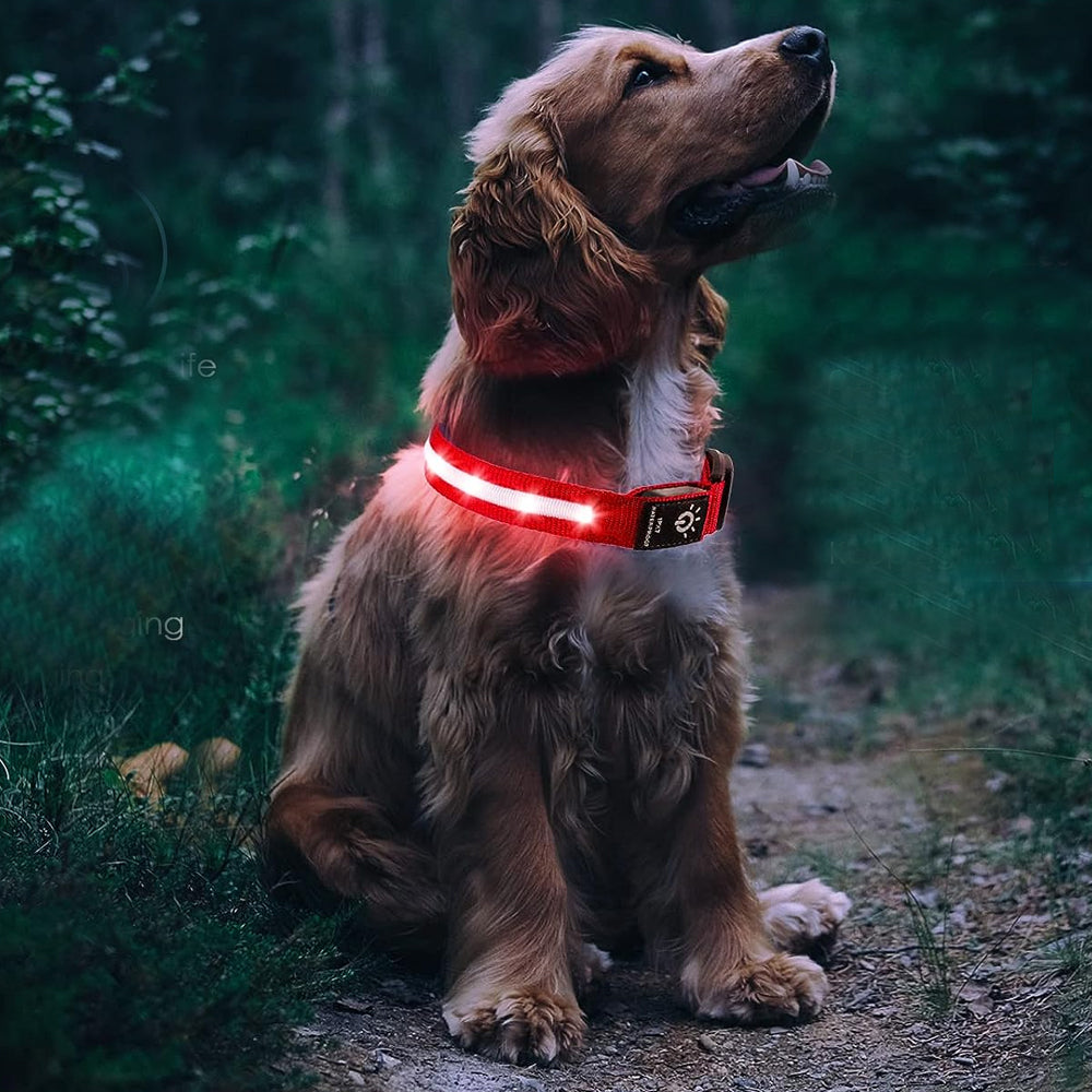 LED Rechargeable Dog Collar Pet Collar with Protective Case for Apple Air Tag