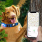 LED Rechargeable Dog Collar Pet Collar with Protective Case for Apple Air Tag