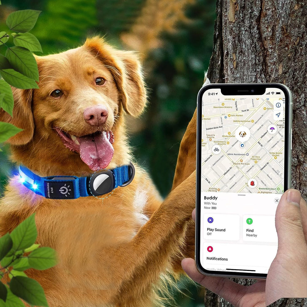 LED Rechargeable Dog Collar Pet Collar with Protective Case for Apple Air Tag