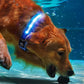 LED Rechargeable Dog Collar Pet Collar with Protective Case for Apple Air Tag