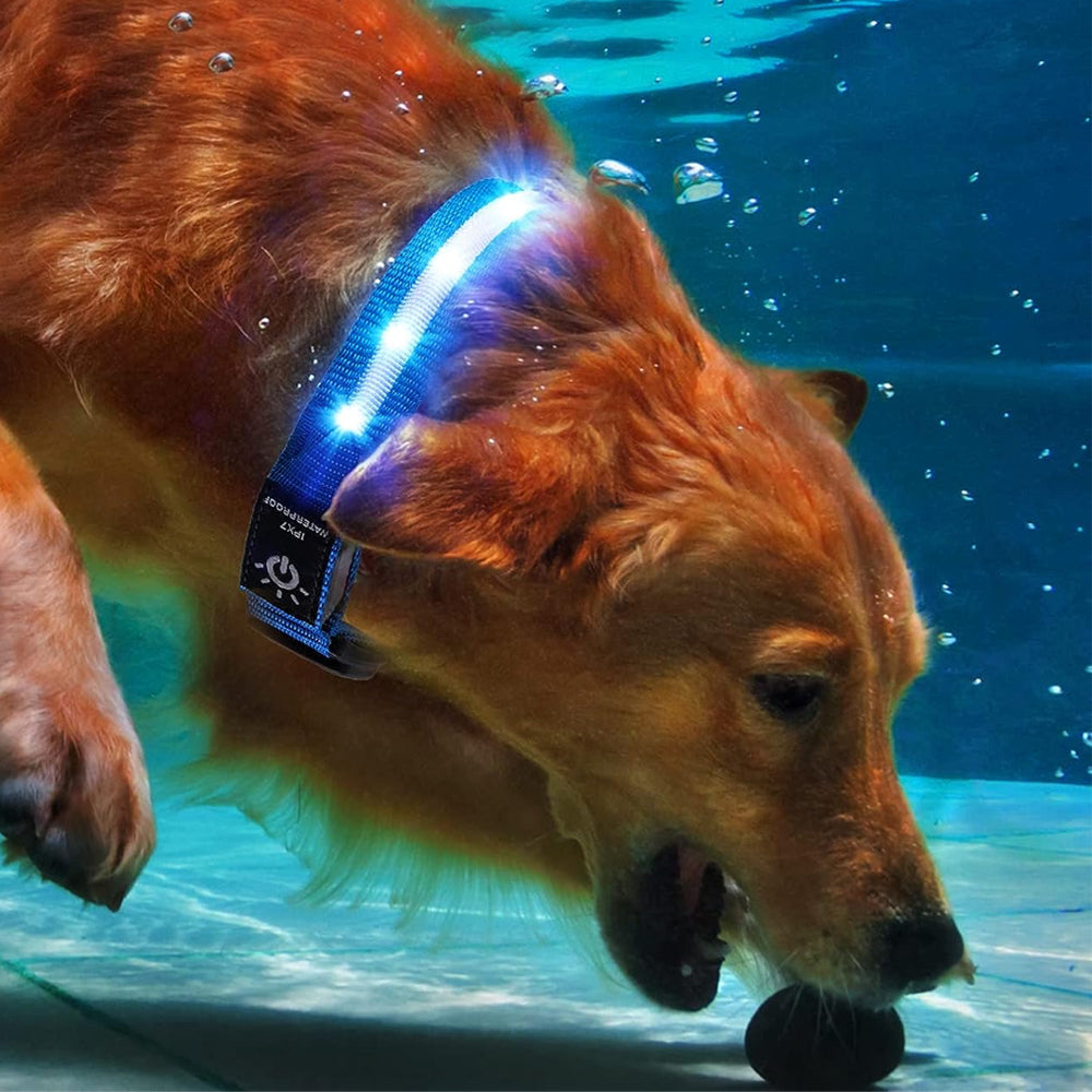 LED Rechargeable Dog Collar Pet Collar with Protective Case for Apple Air Tag