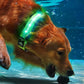 LED Rechargeable Dog Collar Pet Collar with Protective Case for Apple Air Tag