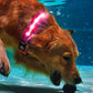 LED Rechargeable Dog Collar Pet Collar with Protective Case for Apple Air Tag
