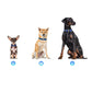 LED Rechargeable Dog Collar Pet Collar with Protective Case for Apple Air Tag