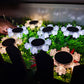 2Pcs Solar Snowflake LED Light Solar Lawn Wall Light Underground Light