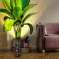 LED Plant Spot Lights Indoor Plant Lamp 3 Color Lighting Modes Accent Lighting Spotlight for Plants