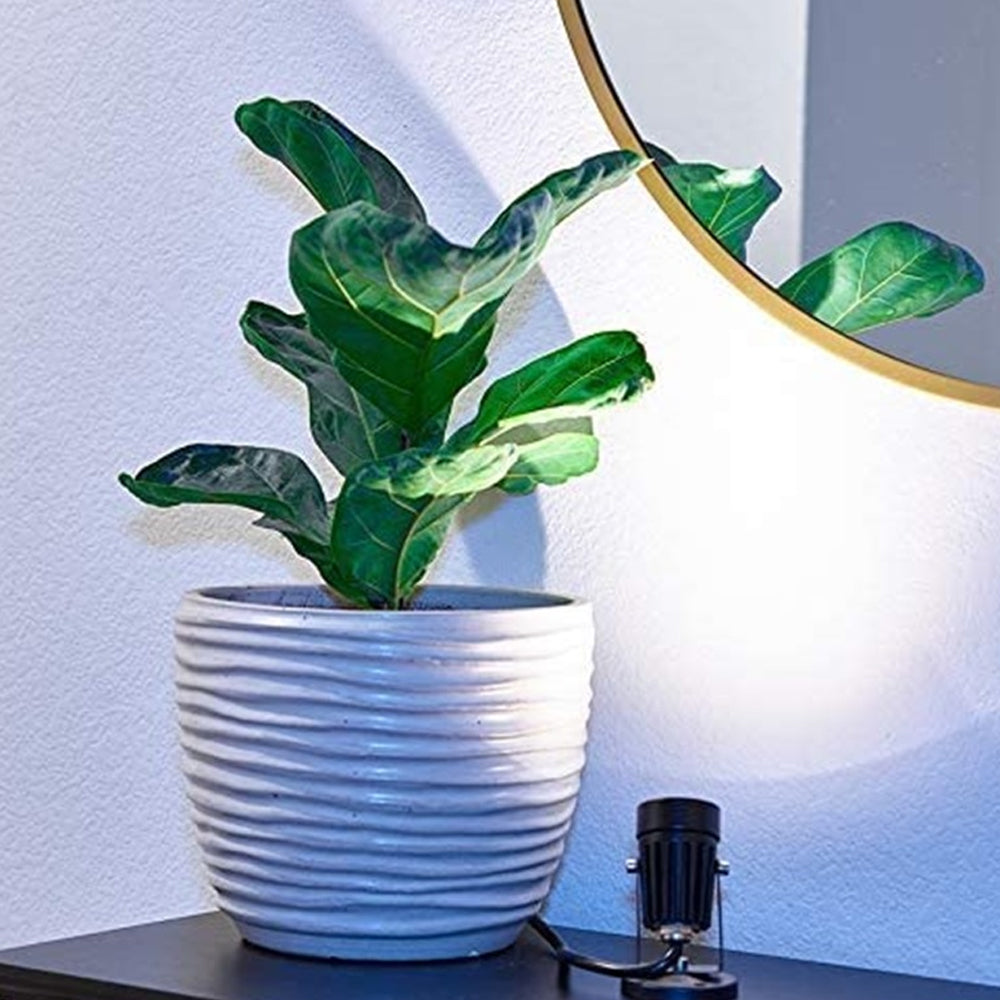 LED Plant Spot Lights Indoor Plant Lamp 3 Color Lighting Modes Accent Lighting Spotlight for Plants