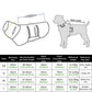 Absorbent Pet Bathrobe Towel-Green