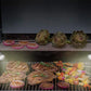 2 Pack Flexible Grill Light Set