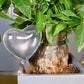 2Pack Automatic Watering Stakes-Heart