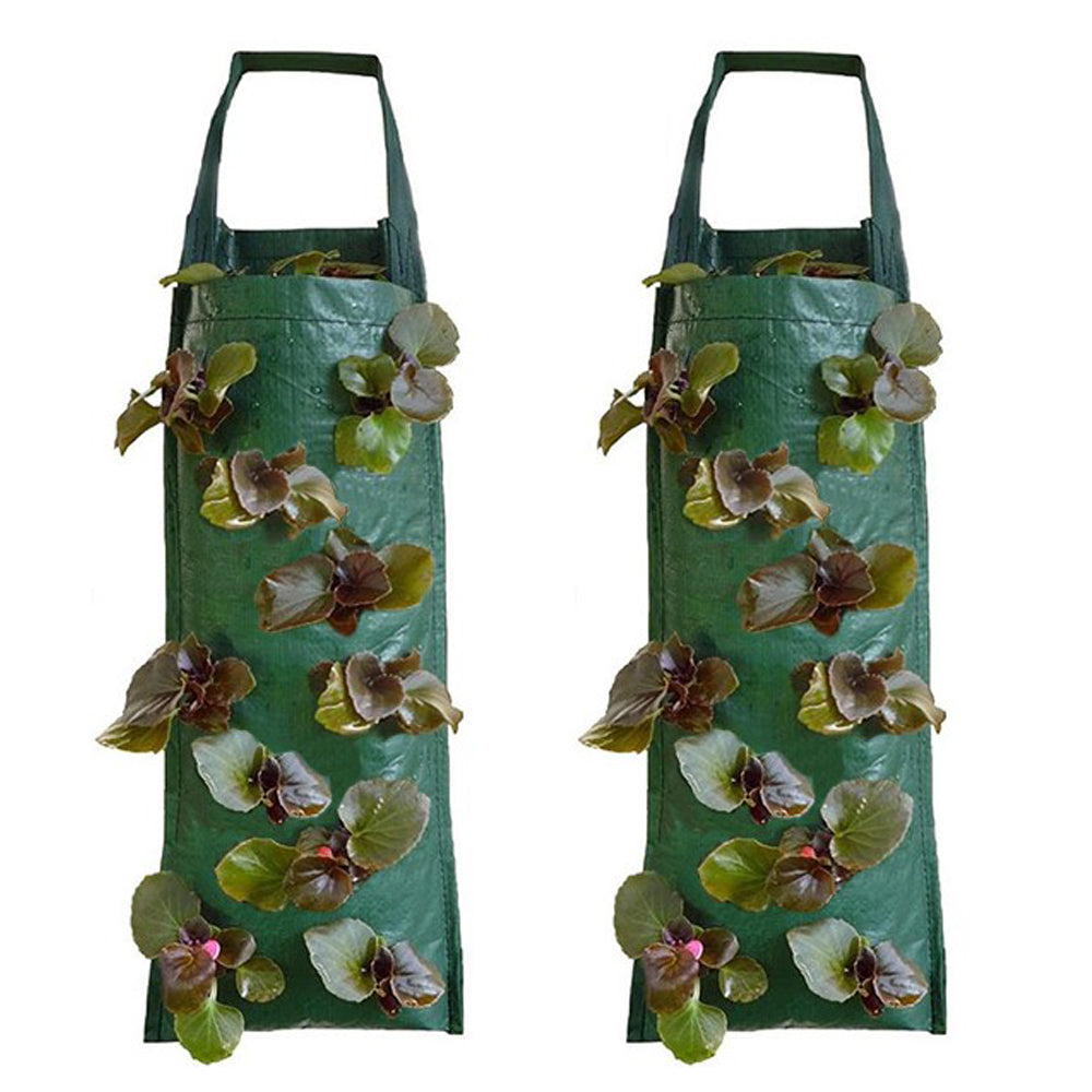 2Pcs Hanging Strawberry Grow Bag with Hook heavy Duty PE Hanging Pouch