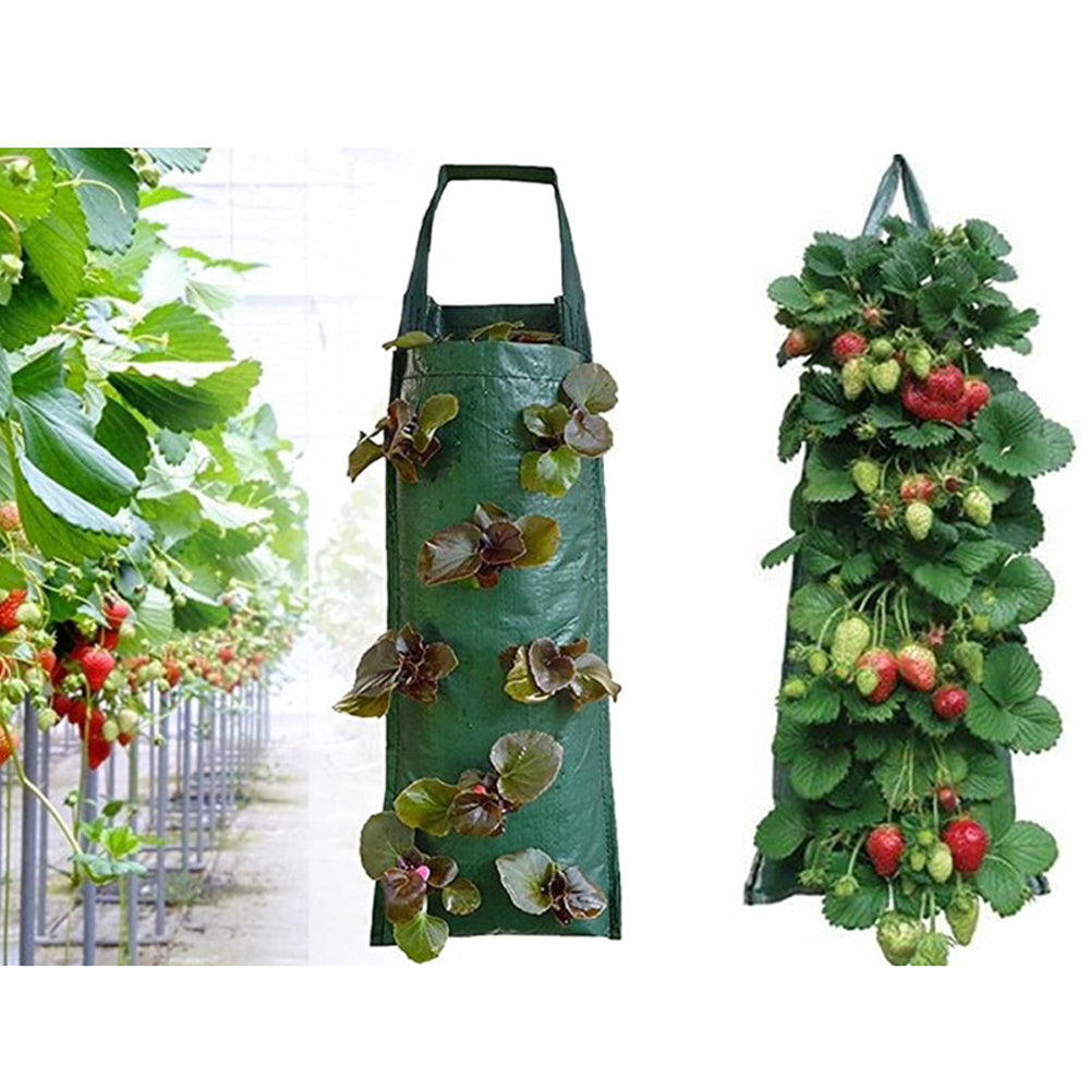 2Pcs Hanging Strawberry Grow Bag with Hook heavy Duty PE Hanging Pouch