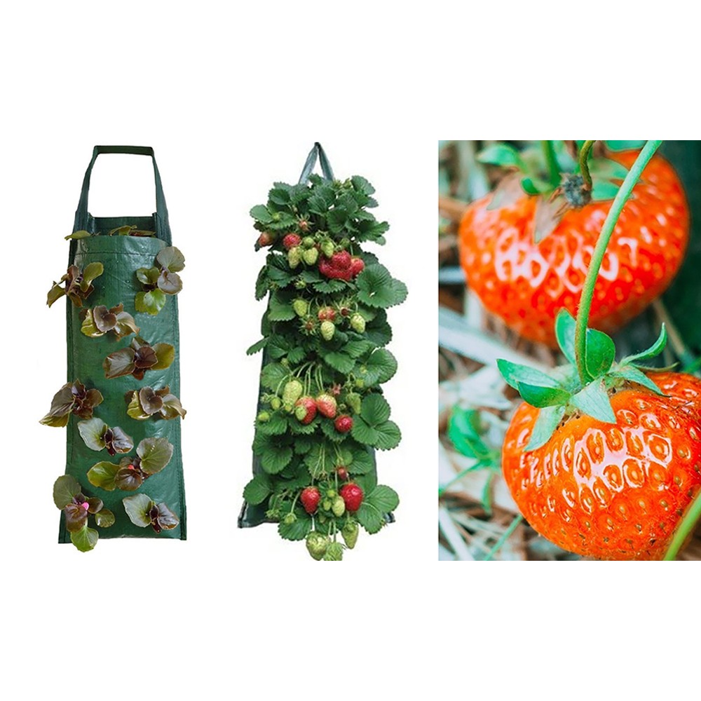 2Pcs Hanging Strawberry Grow Bag with Hook heavy Duty PE Hanging Pouch