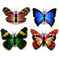 10pcs 3D Butterfly LED Wall Stickers Pasted Night Light DIY Art Decor