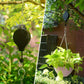 2Pcs Plant Hanger Flower Pulley Hook Hanging Retractable Garden Plant