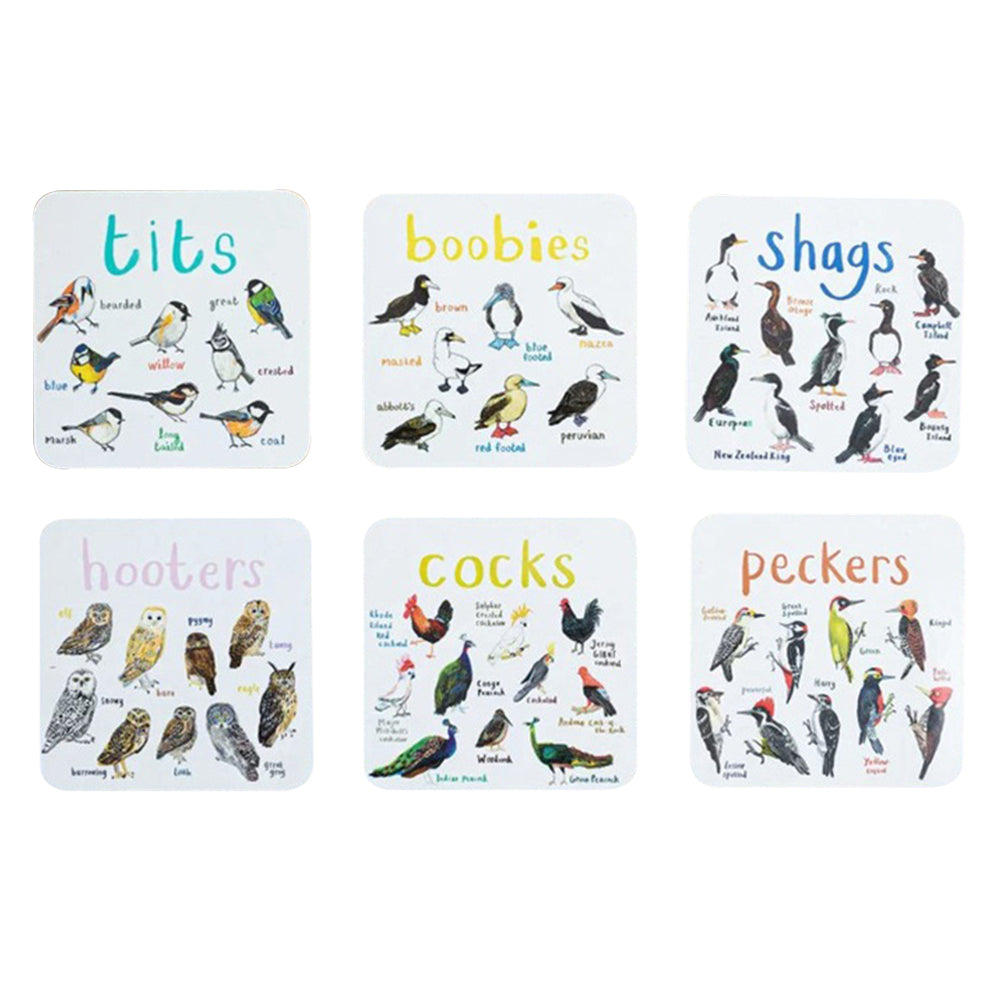 Set of 6Pcs PVC Square Funny Bird Pun Coasters