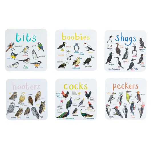 Set of 6Pcs PVC Square Funny Bird Pun Coasters