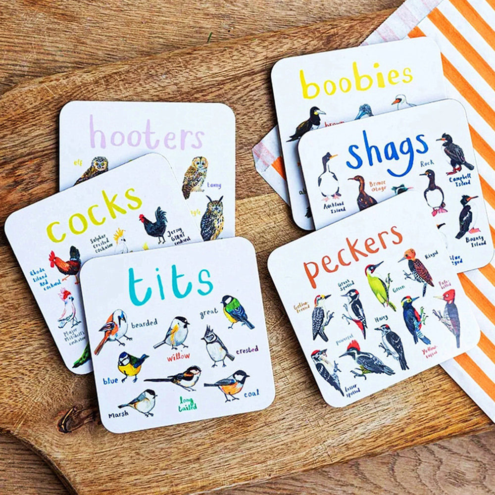 Set of 6Pcs PVC Square Funny Bird Pun Coasters