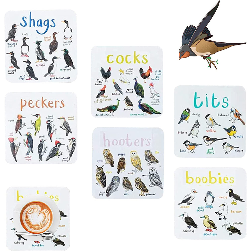 Set of 6Pcs PVC Square Funny Bird Pun Coasters