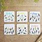 Set of 6Pcs PVC Square Funny Bird Pun Coasters