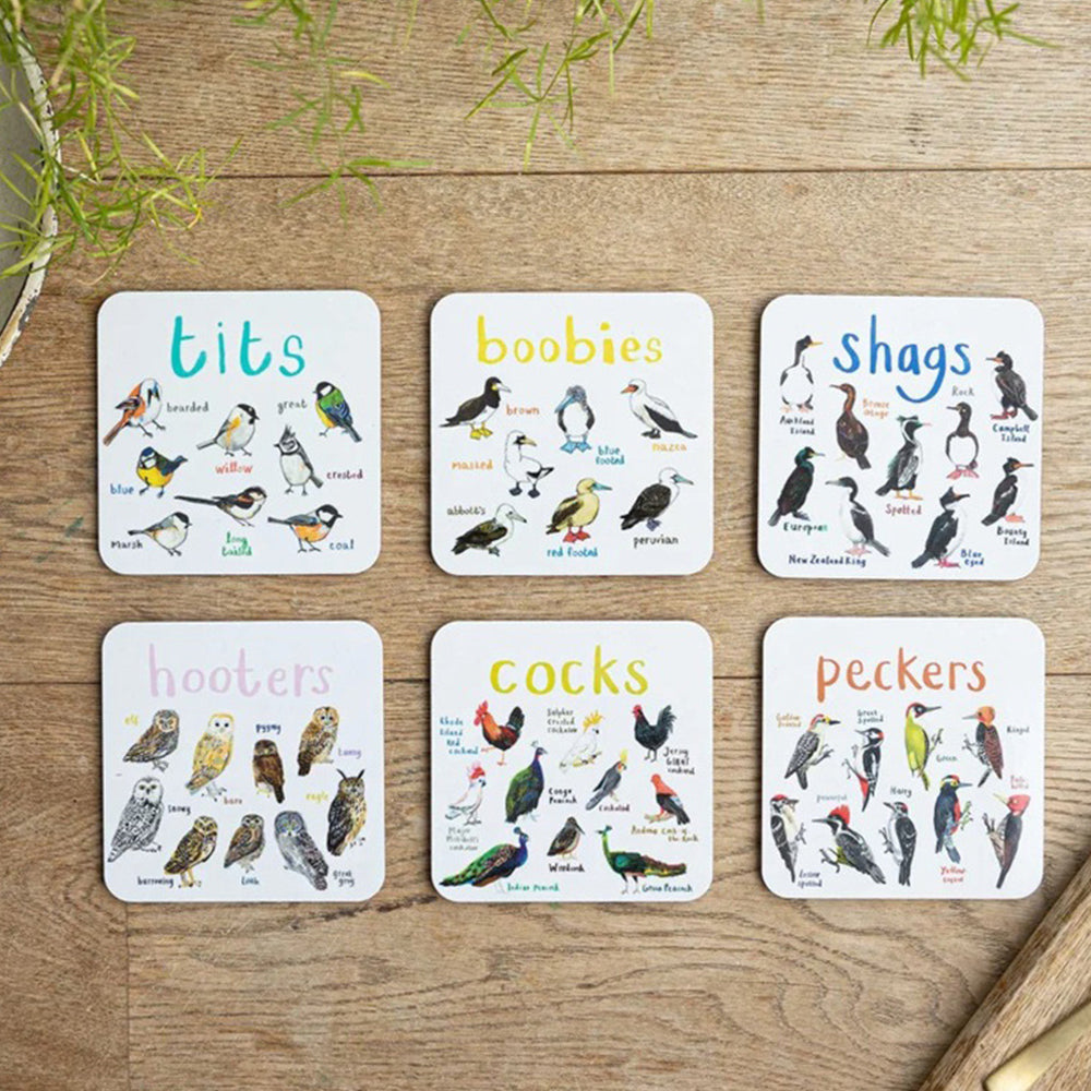 Set of 6Pcs PVC Square Funny Bird Pun Coasters