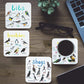 Set of 6Pcs PVC Square Funny Bird Pun Coasters