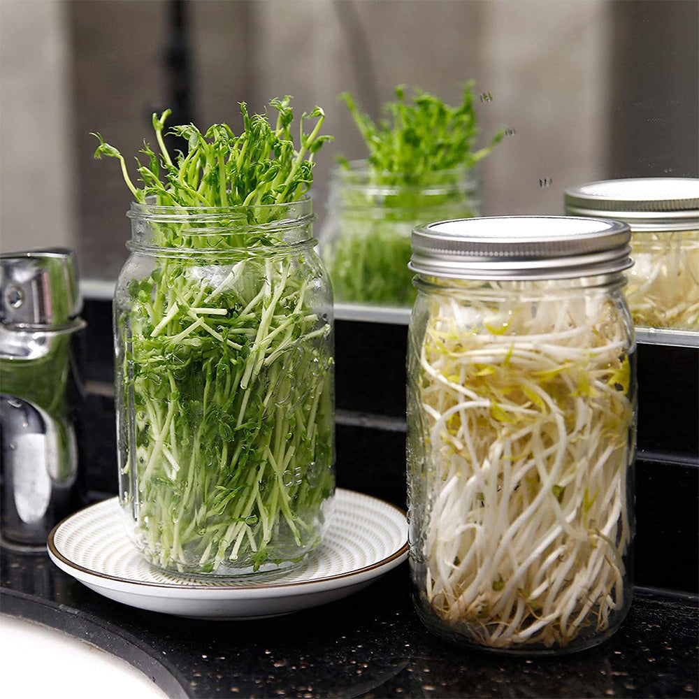 Sprouting Jars with Mesh Lids Sprouts Growing Kit