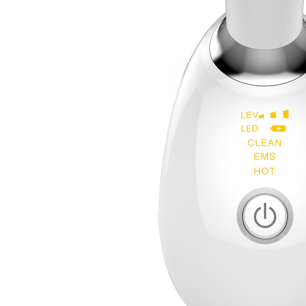 EMS Face Neck Massager Anti-Wrinkle Skin Lifting Beauty Device