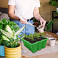 12-Cell Seedling Pots Tray Reusable Silicone Seedling Pot