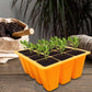 12-Cell Seedling Pots Tray Reusable Silicone Seedling Pot