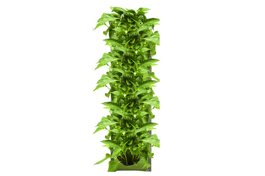 7 Pocket Wall Hanging Planting Bag Vertical Flower Grow Pouch Planter -Green