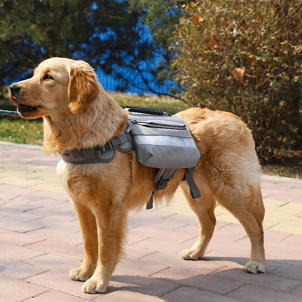 Outdoors Travel Adjustable Dog Backpack