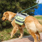 Outdoors Travel Adjustable Dog Backpack