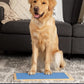 Wooden Dog Nail Scratch Board Pet Paw Nail File Pad for Grinding Nail Trimmer Trainer