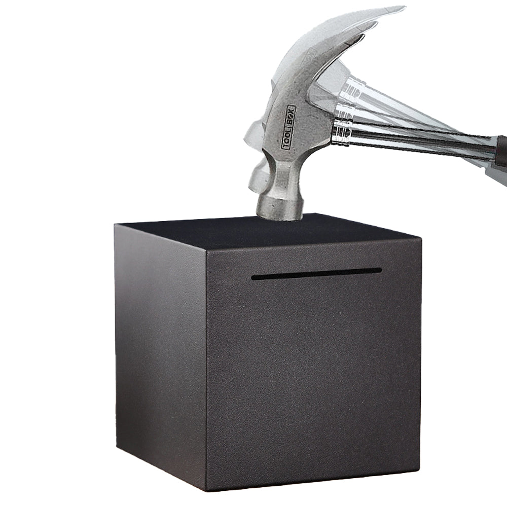 Stainless Steel Adult Piggy Bank
